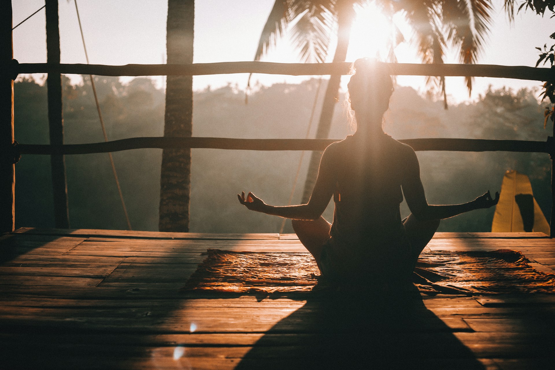Why should I meditate